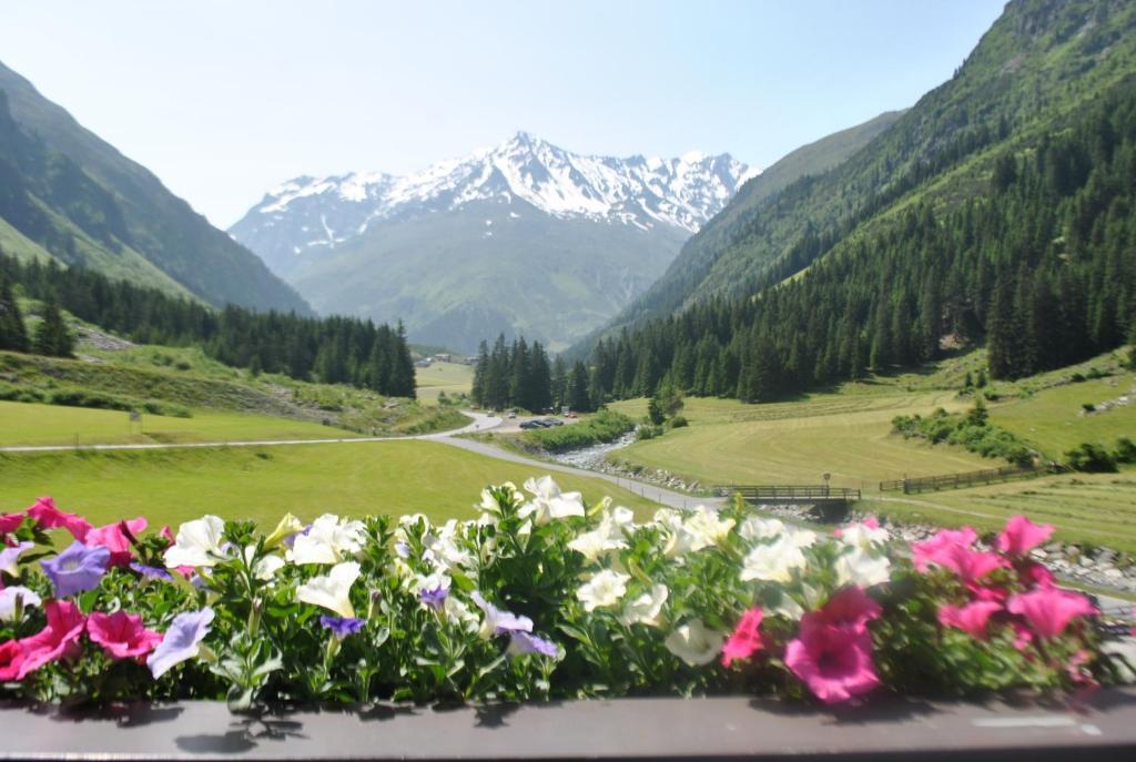 Haus Margret Bed & Breakfast Sankt Leonhard im Pitztal Bilik gambar